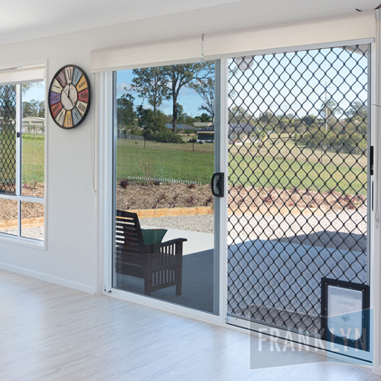 Security screen door and window